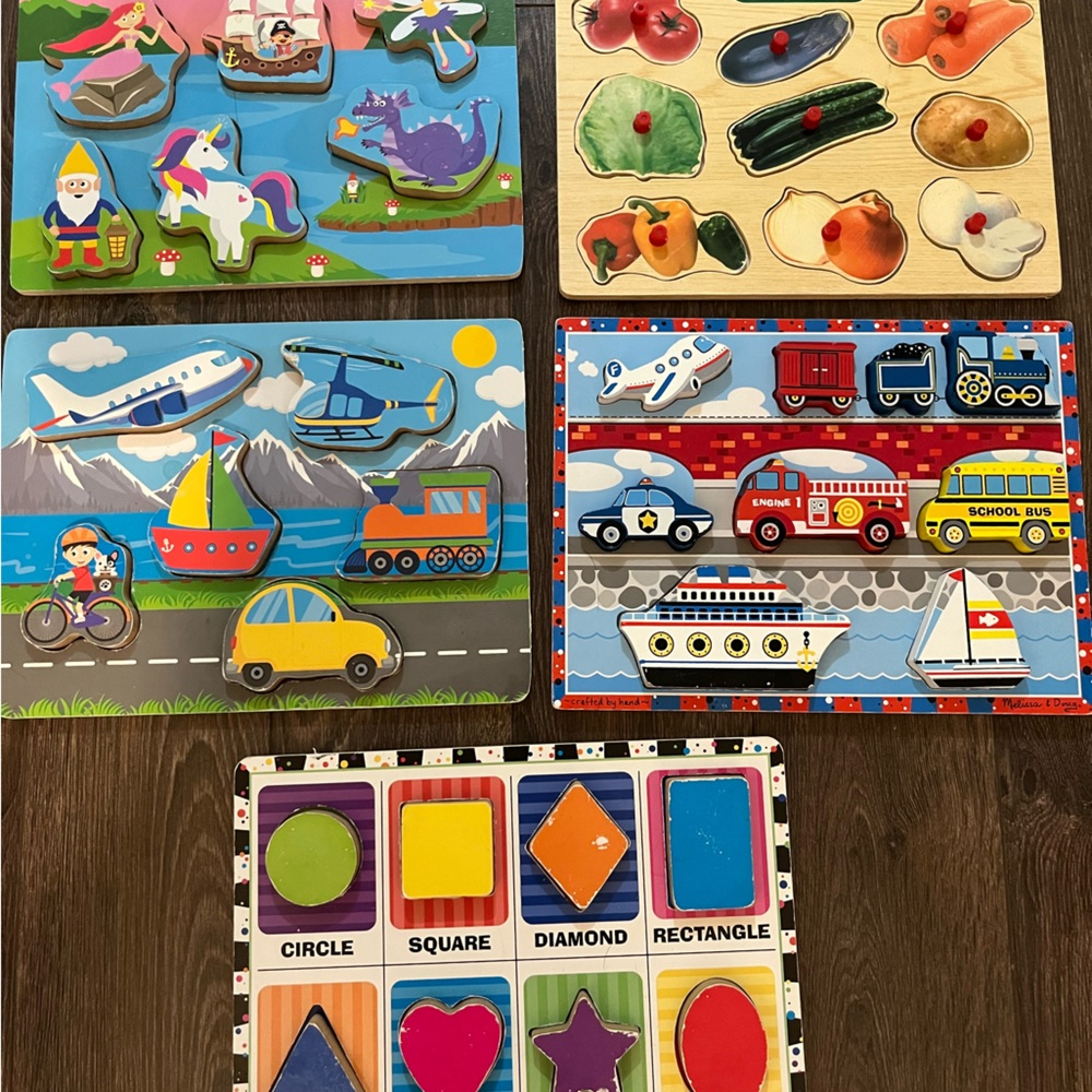 Vibrant Wooden Puzzle Set for Kids